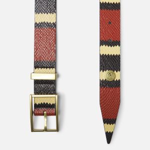 King Snake Red Belt