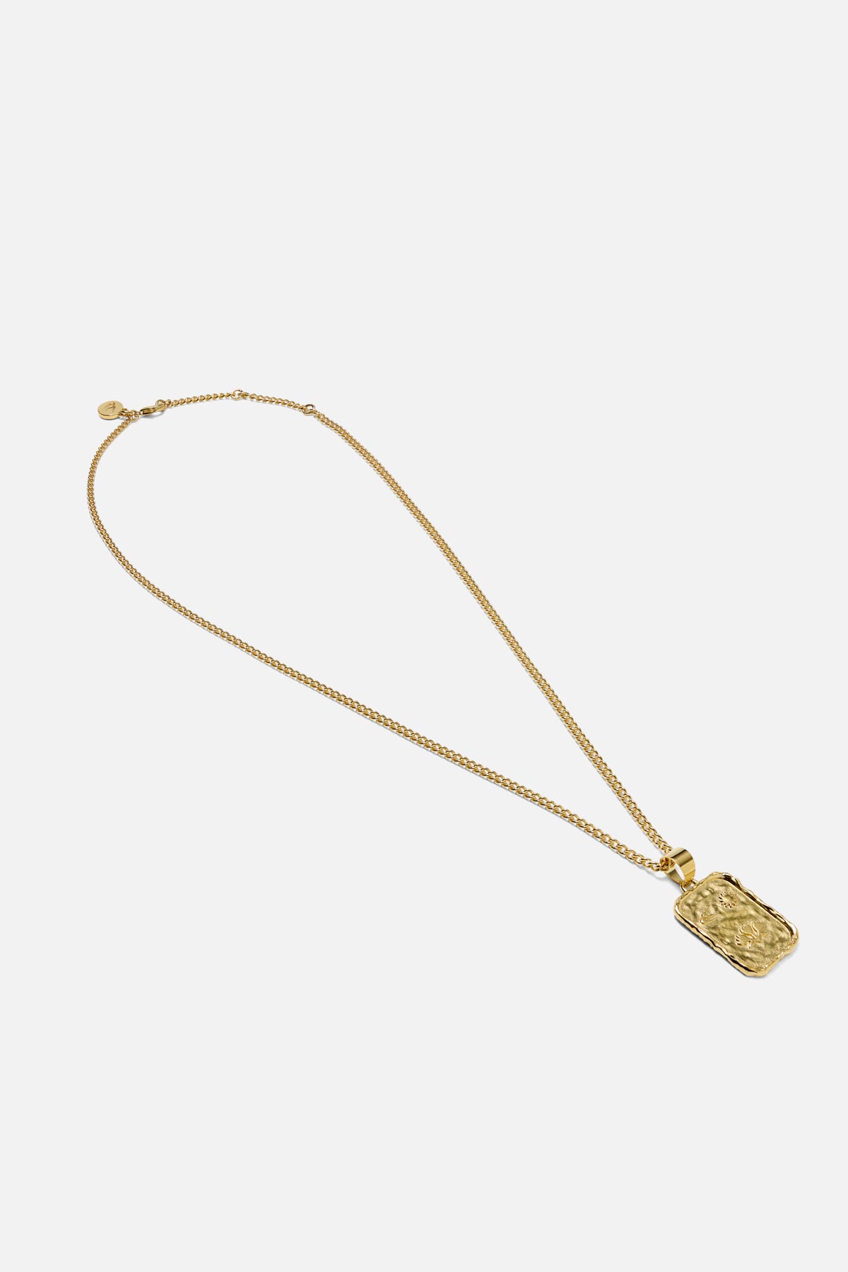 Medal AU Necklace - Image 3