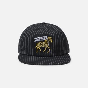 Pinstripe Black Cap